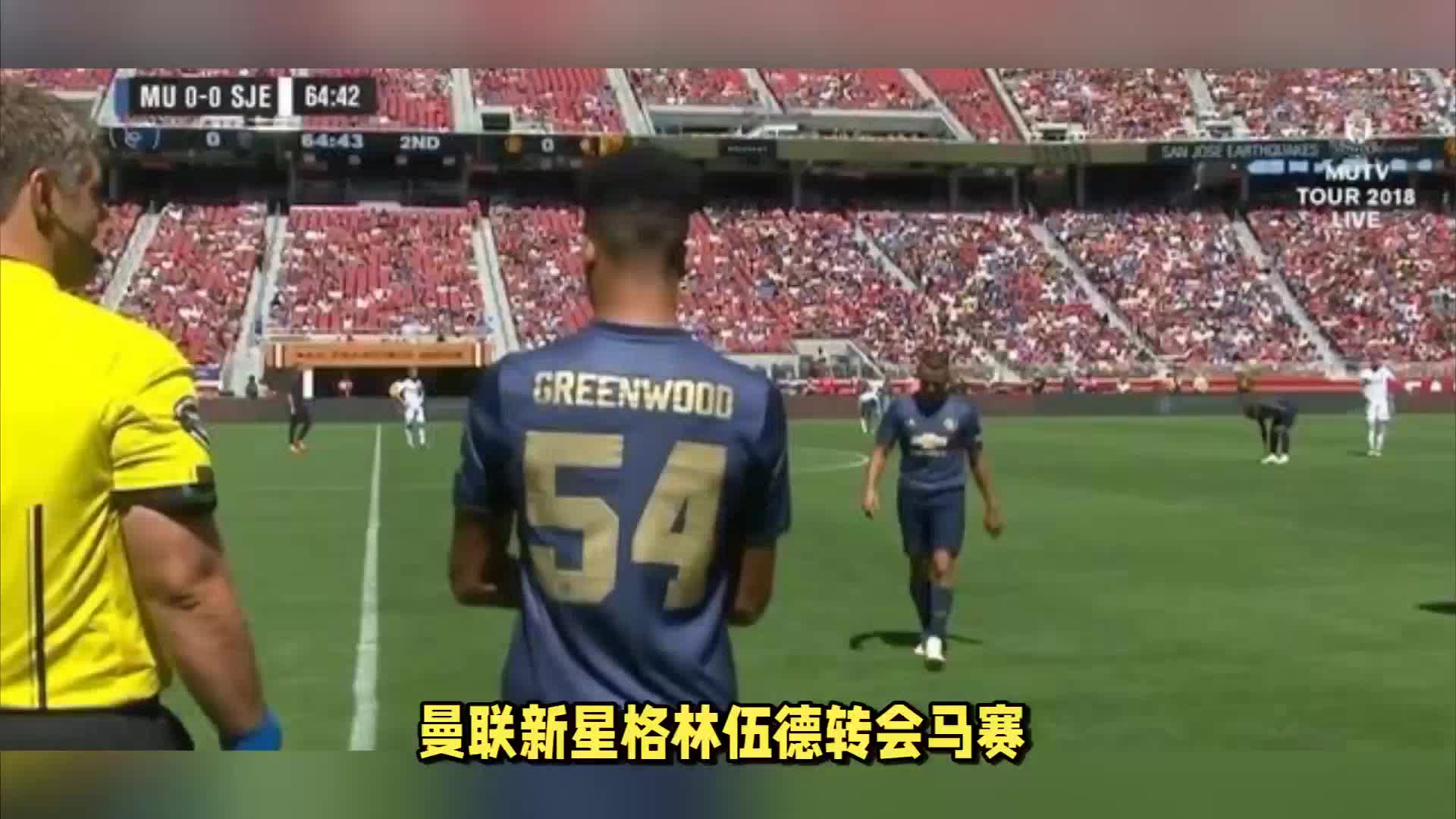 的大手