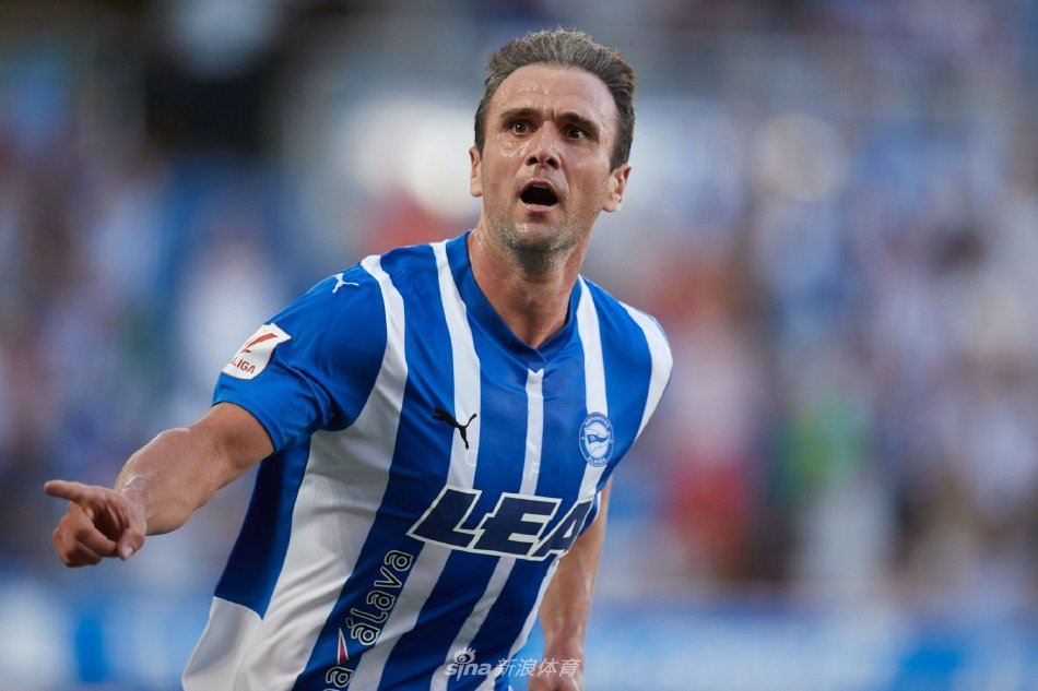 对维萨的估 对维萨的估